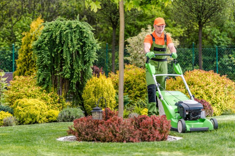 Increase Your Lawn Clean Up Service Business with an AI Driven, Targeted Website