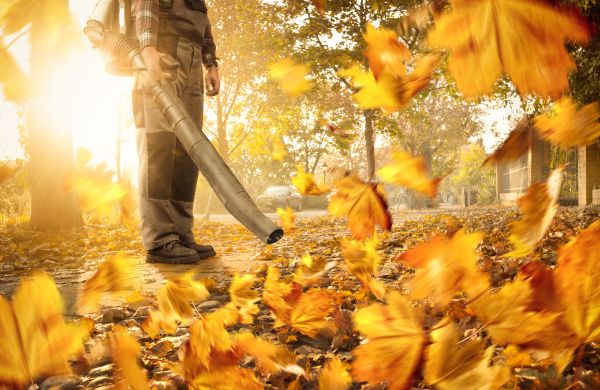 Leaf Blowing Service in West Chester