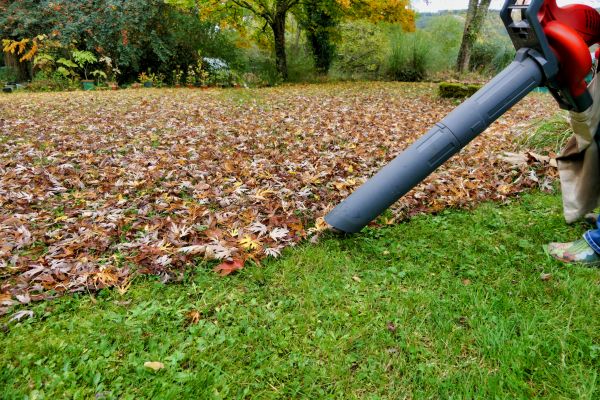 Leaf Vacuuming Service in West Chester