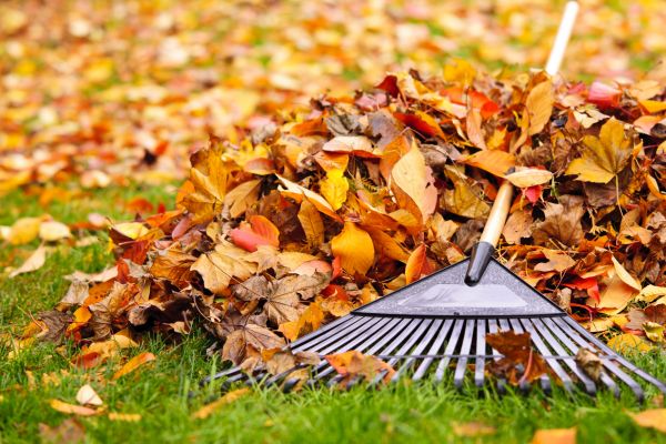 Cost of Leaves Removal in West Chester
