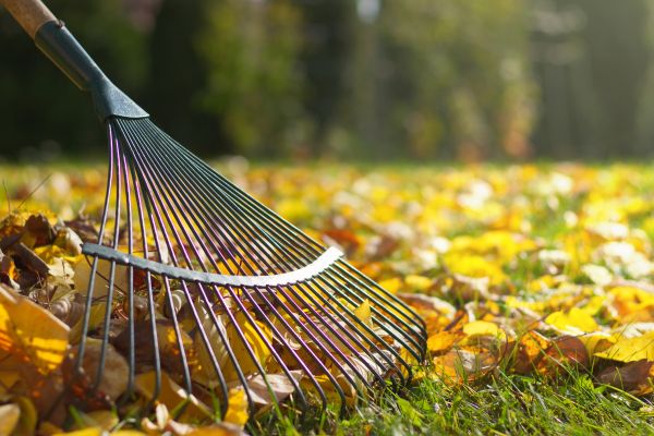 Leaf Raking Service in West Chester