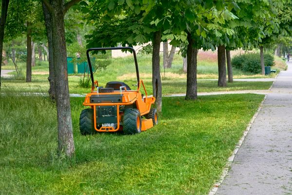 Landscaping Cleanup Service in West Chester