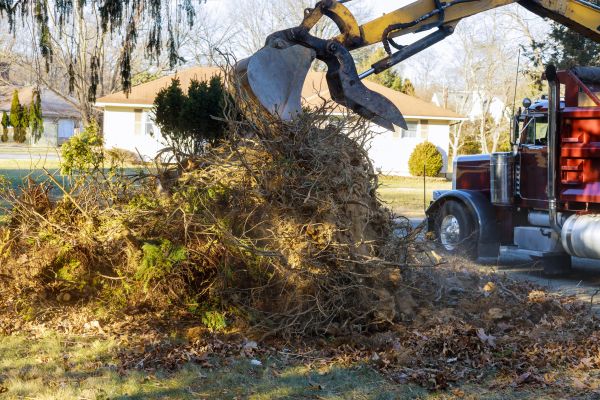 Storm Debris Removal in West Chester