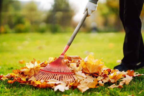 Cost of Ditch Leaf Removal in West Chester