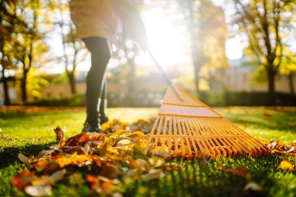 Leaves Raking in West Chester