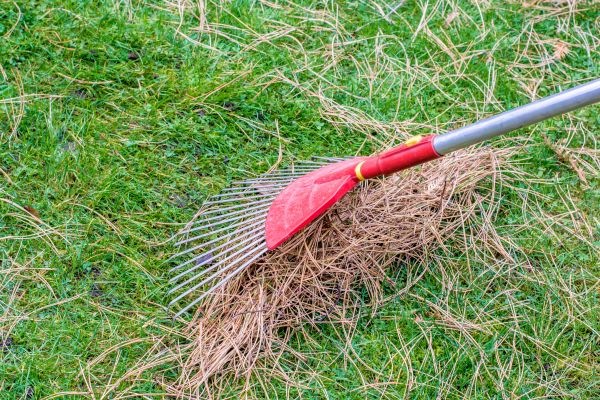 Yard Raking in West Chester
