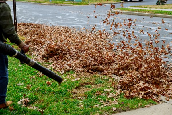 Cost of Garden Leaf Removal in West Chester