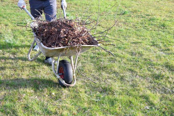 Yard Brush Removal in West Chester