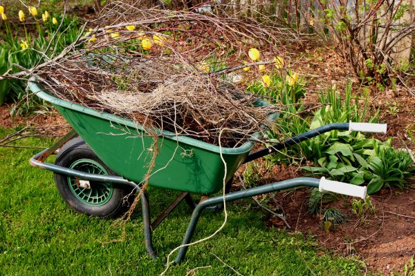 Lawn Waste Removal in West Chester