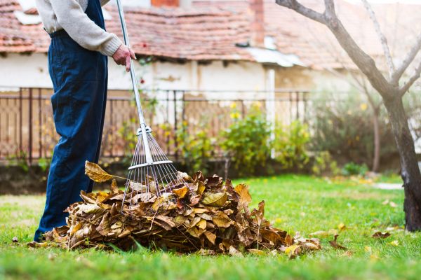 Cost of Fall Yard Cleanup Service in West Chester