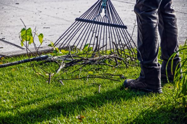 Yard Debris Cleanup in West Chester