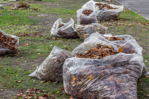 Cost of Leaf Pile Disposal in West Chester