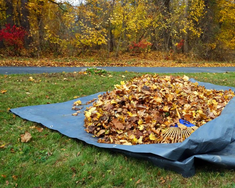 Autumn Leaf Removal