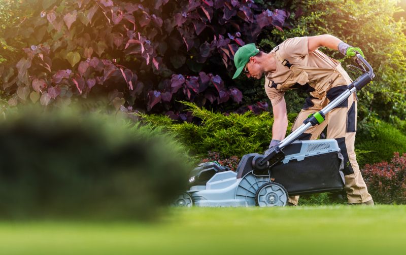 Independent Lawn Care Specialists